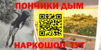 шишки Северобайкальск