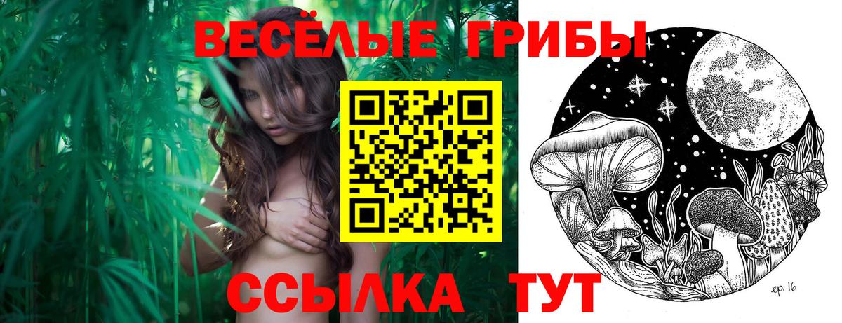 Псилоцибиновые грибы прущие грибы  Вход с VPN  Осинники 