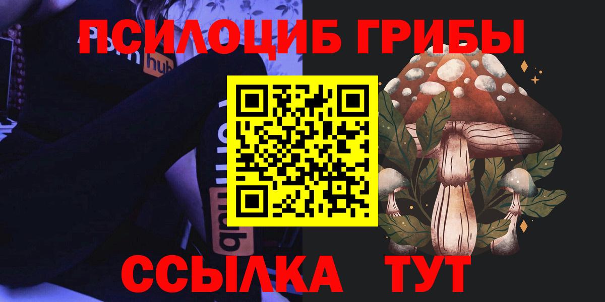 Псилоцибиновые грибы MAGIC MUSHROOMS Осинники